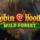 Robin Hoods Wild Forest